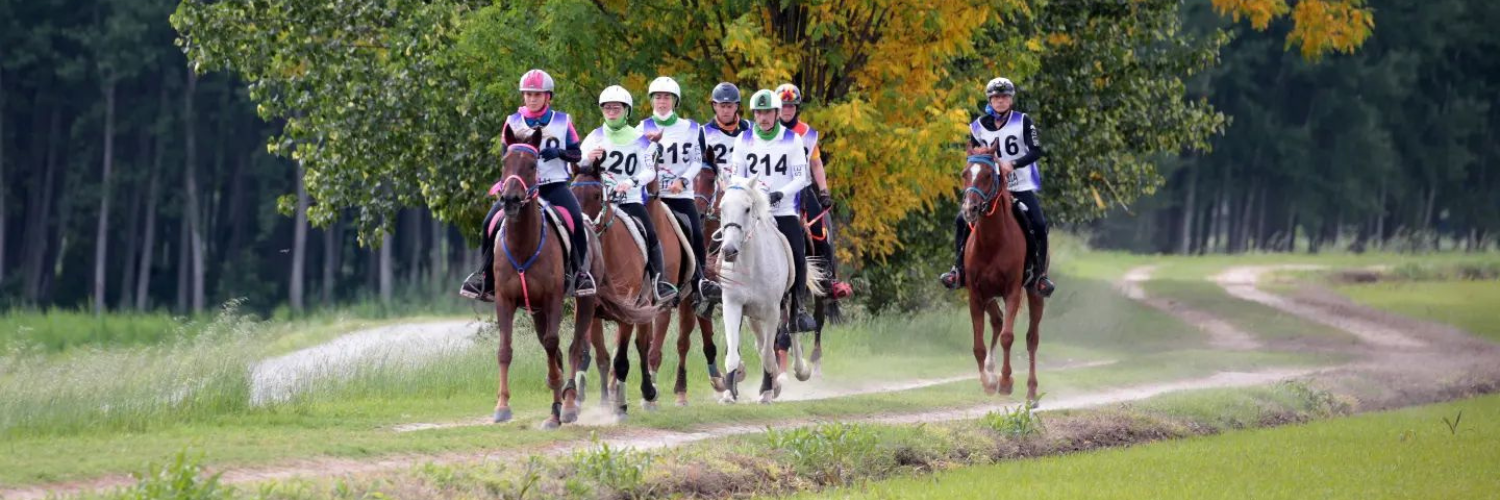 Countdown to the FEI Endurance World Championships Equestrian Australia